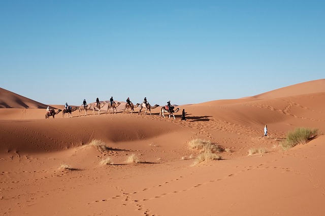 sahara